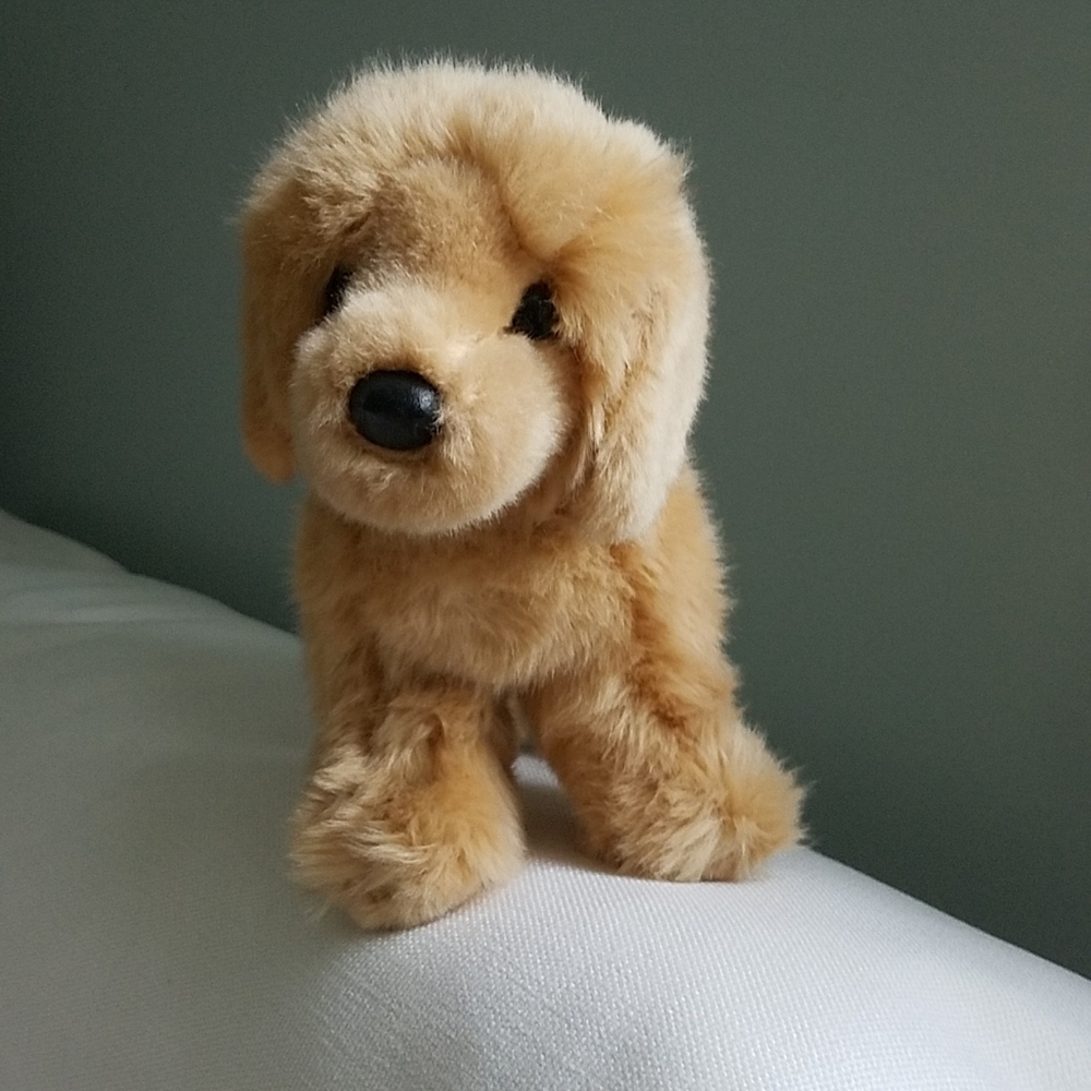 Douglas golden retriver